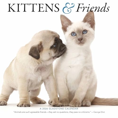 Kittens & Friends: 12x12 Wall
