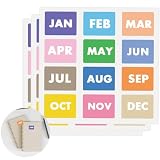600 Pcs Month Stickers 12 Months of The Year Color Coding Label Stickers 1 x 0.75 Inch Rectangle Month Labels...