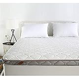 WENZHEN Funda De Colchon Anti Chinches,Cojín de Dormir de T