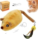 Katzenspielzeug Elektrisch Spielmaus mit Federschwanz, Katzenspielzeug Wiederaufladbare Maus mit USB Kabel, Spielmäuse für Katzen Elektrisch mit LED Licht, Interaktive Spielzeug Maus für Katze