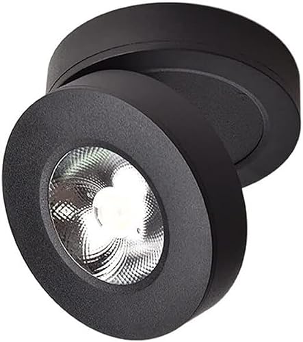 ���� 10/7 ���b�g�k�����߉\�Ȕw�i�X�|�b�g���C�g���փz�[���ʐ^ LED �_�E�����C�g���r���O���[���L��(10w Black,Warm White)