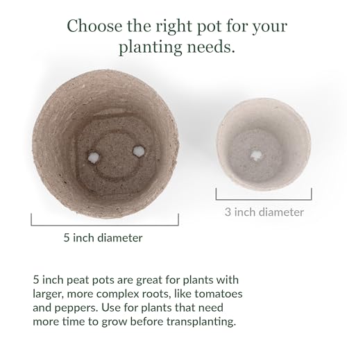 Image of Jiffy Biodegradable Peat Pots for Seedlings, 5 Inch, 100 Pack