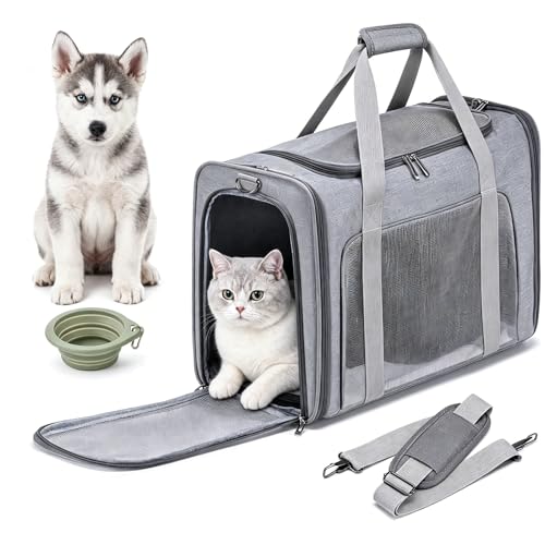 PALAMEA Trasportino Gatto Aereo 55x40x23cm Grande Pieghevole Trasportino Gatti Morbido Portatile Borsa per Cani Piccola Taglia 12kg Trasportinos Cani Omologato Aereo con Morbido Cuscino Lavabile