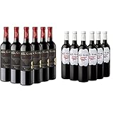 producto 1: Apariencia: Vino tinto de color rojo picota profundo, cubierto, con ribete púrpura y sin evolución