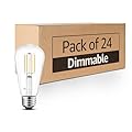 MASTERY MART 24 Pack 100 Watt Led Bulb, Edison Bulbs Dimmable Light Bulbs E26, 2700K Soft White Bright 9W 1100LM, ST21/ST64 Vintage Light Bulbs, UL Listed, Clear Glass, Decorative Light Bulb