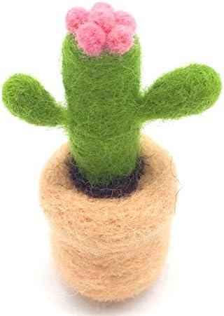 Artec360 Felting Supplies Merino Wool Succulent Plants Needle Felting Kits Within 3 Needles and Tutorial for Felting Beginner (Cactus)