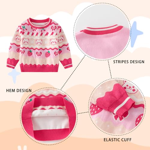 Toddler Floral Print Pullover Knit Sweater, Girls Cute Crewneck Long Sleeve Sweatshirt, Fall Sweaters Size 2-7T3