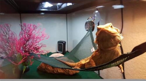 4 espreguiçadeiras de rede de répteis, rede de lagarto verde com ventosa forte triângulo barbudo esp