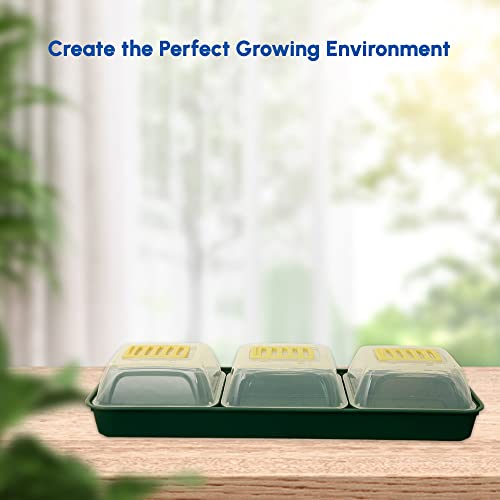 ACCURATE 7 Piece Windowsill Propagator Set Made Ideal for home growing organic fresh fruit, vegetables and herbs in Green Colour (1) - Image 6