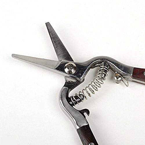 Tijeras de Poda Acero Inoxidable 8" Mango Madera miniatura 2
