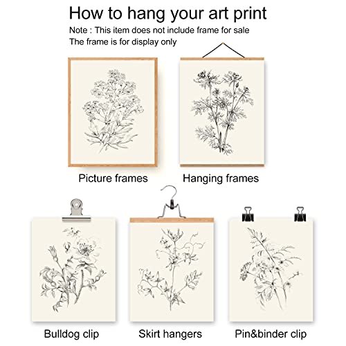 Roslynity Vintage Botanical Wall Art Prints Set Of 6 Plant Floral Sketches Prints Art Posters Retro Nature Flower Aesthetic Pictures For Living Room Bedroom Cottagecore Decor (8"X10" Unframed) #TOP2