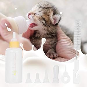 6PCS-Set-Pet-Puppy-Kitten-Feeding-Bottle-Small-Dog-Cat-Milk-Nursing-Care-Kit-Liquid-Feeding-Supplies-60ml-with-Replacement-Nipples-kitten-bottle-feeding-kit-Yellow - Cucciolini Doodles   6PCS-Set-Pet-Puppy-Kitten-Feeding-Bottle-Small-Dog-Cat-Milk-Nursing-Care-Kit-Liquid-Feeding-Supplies-60ml-with-Replacement-Nipples-kitten-bottle-feeding-kit-Yellow