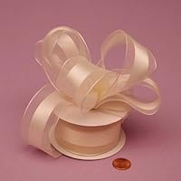 Algopix Similar Product 12 - Ivory Sheer Ribbon with Satin Stripe