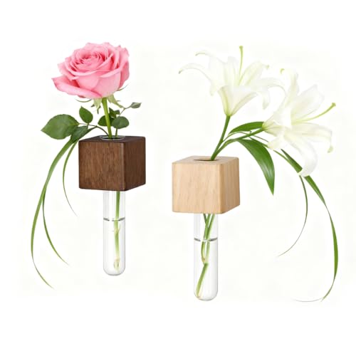 Set de 2 jarrones magnéticos de tubo de prueba de madera
