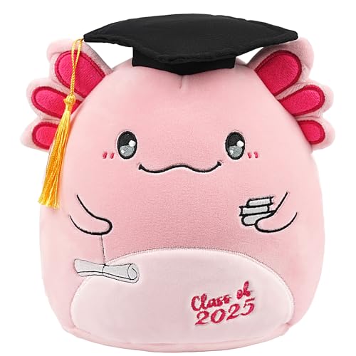 Big Sister Plush Toy: 8-Inch I'm The Big Sister Bear with Pink Bow Stuffed Animal Cute Soft Plushie Pillows Christmas, New Sibling Gifts for Girls Kids