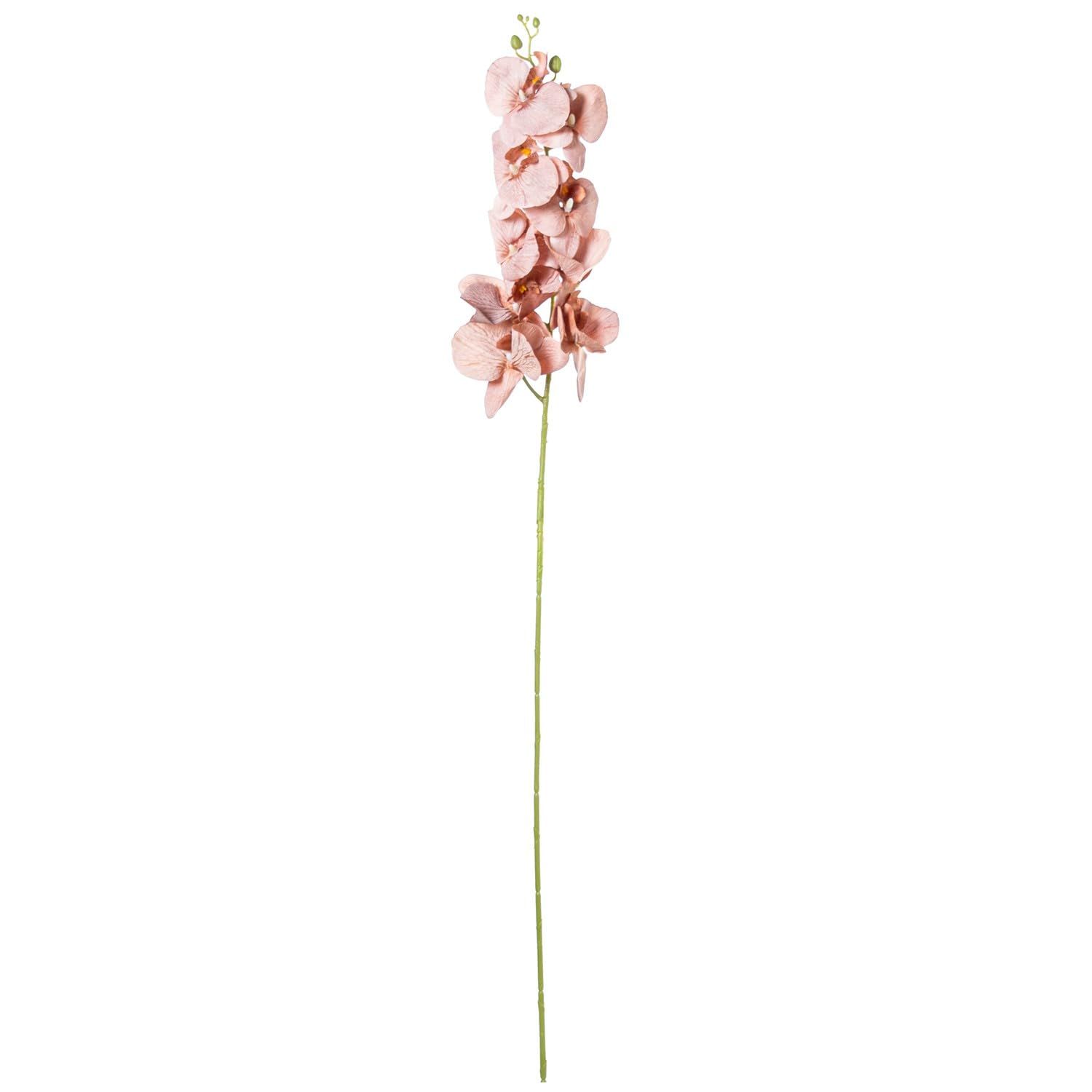 Orchidée en polyester violet DRW lot de 6 branches sans entretien 100 cm