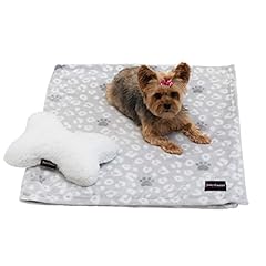 Grey Leopard With Paws