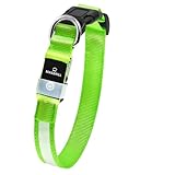 Leuchthalsband Hund, Hundehalsband Leuchtend Aufladbar, LED Halsband für Hunde Leuchtband Einstellbar Wasserdicht mit 3 Lichtmodi Sicherheit für Kleine Mittlere Große Hunde, Grün M
