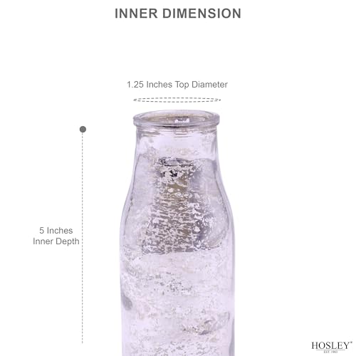 Hosley Set of 2, Glass Silver Glass Bottle, 5.5\" High. Ideal Gift for Floral Arrangements Wedding, Floral Vase, Party, Home Decor, Office, Spa