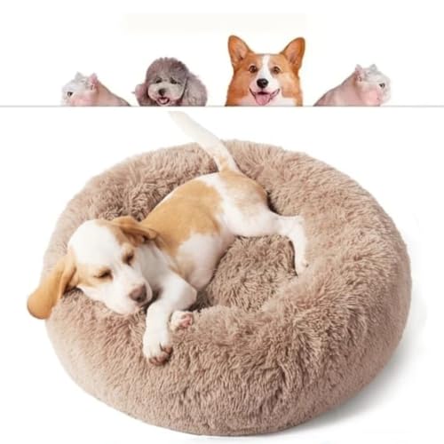CAMINHA DONUT NUVEM PET PELUCIA M REDONDA CAMA PELUCIADA NINHO CASINHA CASA COLCHONETE Cachorros E G