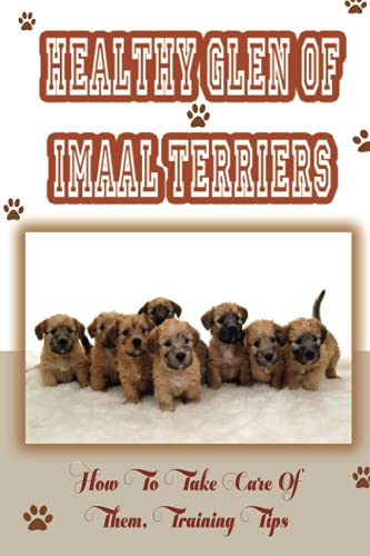Healthy Glen of Imaal Terriers: How To Take Care Of Them, Training Tips: Treatment For Glen Of Imaal Terriers