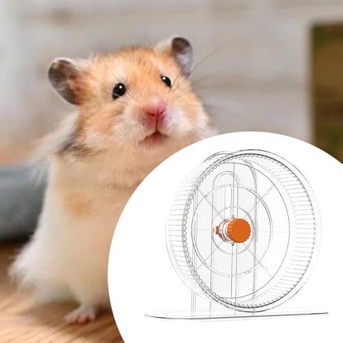 Ｂｅｓｇａ Roda de exercício para hamster, roda de corrida, atividade esportiva silenciosa, corredor inte