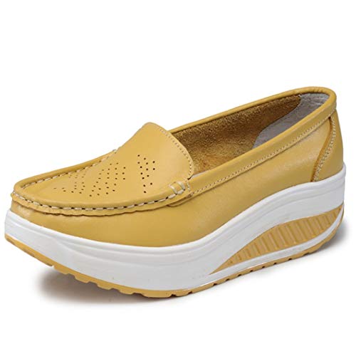 [KLIAN] fB[X 傫TCY Xj[J[  Ȃ jO V[Y D^ C CG[ 24.0cm ₷  EH[LO X|[c Xb| ₷ _CGbgV[Y y r bV fbLV[Y