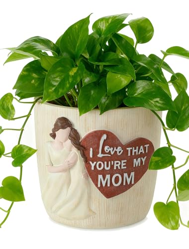Afigurna Gardening Gifts for Mom from Daughter: 5.3in Hand-Painted 3D Art Planter - Garden Gifts for Gardening Mom - Meaningful Plant Pot Gifts for Birthday Christmas Mother's Day