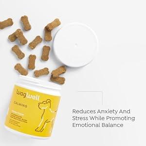 Calming Chews for Dogs Vetformulated Anxiety Relief for Dogs to Reduce Stressful Situations Like Travel or Fireworks Separation Anxiety Relief for Dogs to Ease Stress Promote Relaxation Cucciolini Doodles Calming chews for dogs vet formulated anxiety relief for dogs to reduce stressful situations like travel or fireworks separation anxiety relief for dogs to ease stress promote relaxation cucciolini doodles