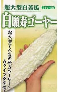 Amazon ゴーヤ 種 白願寿ゴーヤ 小袋 約10粒 野菜