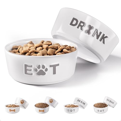 Ceramic Dog Bowl Set of 2 with Anti-Skid Base...