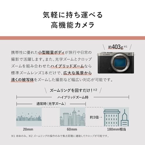 Image of Panasonic LUMIX S9 Full Frame Camera with 20-60mm F3.5-5.6 L Mount Lens, DC-S9KS (Silver) (International Model)