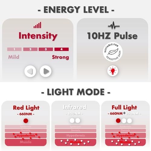 Image of Red Light Therapy for Body, 3 in 1 LEDs Red Light Therapy Belt with Timer Remote Control, 660nm 850nm Infrared Light Therapy Pad for Body Waist Shoulder Knee, 12.3 inch x 6 inch Large Area
