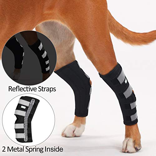 Top 10 Best Dog Knee Brace of 2020 Review Best Pet Pro