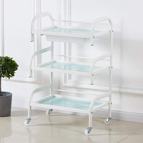 Chariot utilitaire de stockage à 3 couches robuste pour salons et instituts - 2