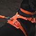 Ruffwear, Front Range Dog Harness, Reflective Soft Padded Everyday Harness with Dual Leash Clips, Adjustable and Lightweight Fit for Training or Walking for All Dogs, Blaze Orange, Medium
