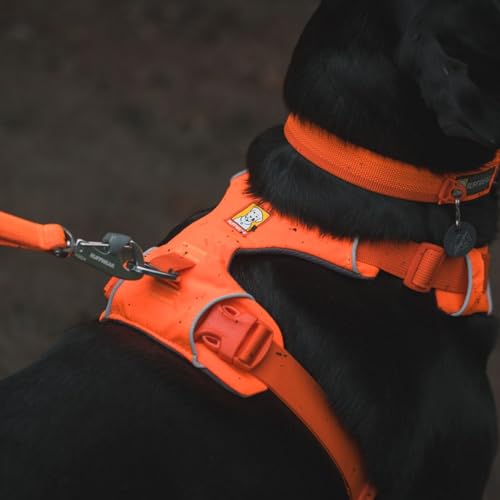 Ruffwear Front Range Hundegeschirr, reflektierendes Y-Geschirr, verstellbares, bequem gepolstertes Alltagsgeschirr für Spaziergänge und Hunderennen, 2 Leinenbefestigungen und V-Ring, Blaze Orange M