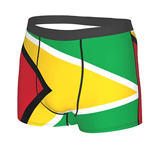 Florida Flag Mens Boxer Briefs Underwear Breathable Stretch Boxer Trunk with Pouch for Men, Youth2