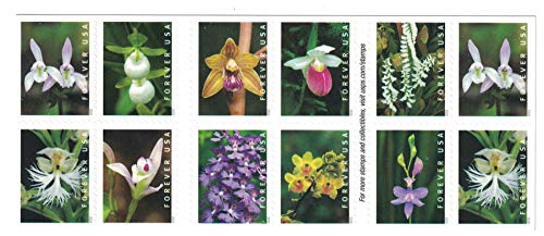 Wild Orchids Book Of 20 First Class Postage Stamps Scott 5444 #TOP2