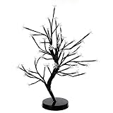 bonsai under lights Podría ser un buen regalo para sus hijos o amigos.