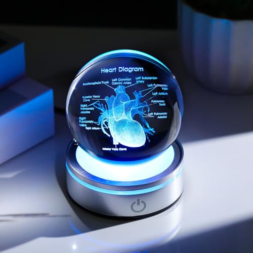 Image of Arikyrist Crystal 3D Human Heart 3.15 in. Ball Gifts for Men Women Doctor | Glass Sphere Etched Heart Model, Colorful Light Base, Graduation Keepsake, for Surgeon Cardiologist Anatomy Art Decor