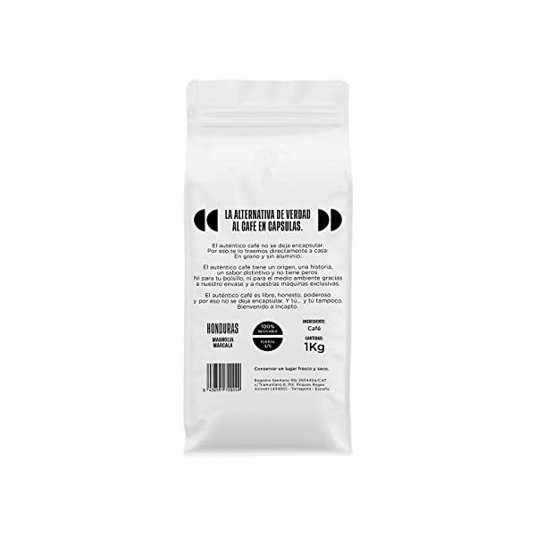 Incapto Café en Grano Natural - Café Especialidad | Café Rwanda Grano | Café en Grano Arábica 100% | +80 puntos SCA… - Imagen 3