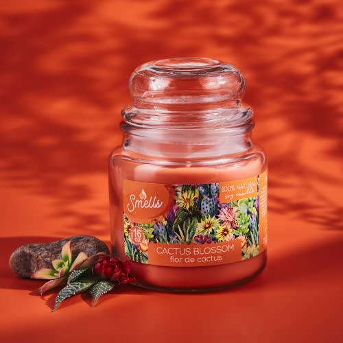 Smells - Premium Soy Wax Large Jar Scented Candle 16Oz. - 100% Cotton Single Wick - Fragrance That Eliminates Home And Office Odors: Food, Pets, Smoke And Others (1-Pack, Cactus Blossom) #TOP5