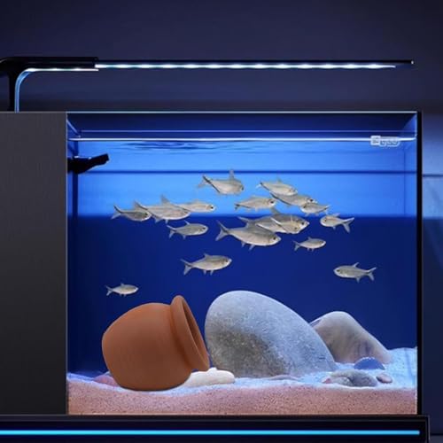 Image of RUIAN Betta Fish Hide Ceramic Aquarium Cave, Small Clay Pot Decor for Shrimp, Betta, and Small Fish, Safe Natural Hideout for Tanks, (Terracotta)