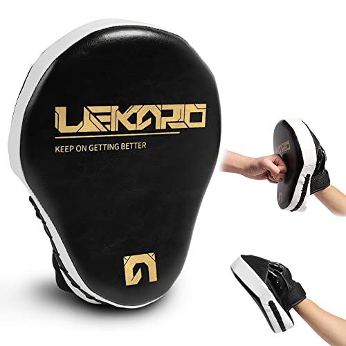 Boxing Pads The 16 best products compared REVIEWED