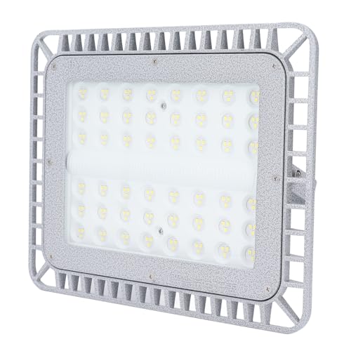 Lumière antidéflagrante LED 100W éclairage usine étanche IP65 Irfora