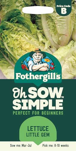 Fothergills Oh Sow Simple Lettuce Little Gem Vegetable Seeds Sow: MarJul Green