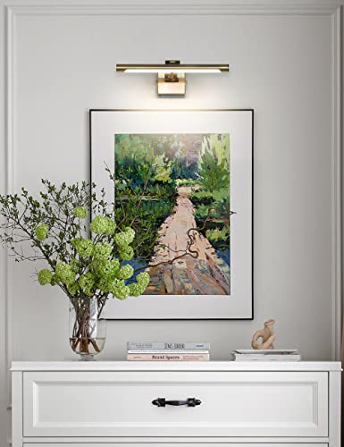 Joosenhouse Picture Light,Dimmable Painting Light With Rotatable Light Tube,Art Display Light For Picture Frame Light Artworking Portrait -Antique Bronze, 9W Hardwired Connection,3000K Warm White #TOP3