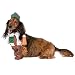 Pet Krewe Medium Deutsches Oktoberfest Hundekostüm - Barktoberfest Halloween Hundekostüm - Perfekt für Halloween, Weihnachtsferien, Partys, Fotoshootings, Geschenke für Hundeliebhaber