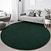 FlyDOIT Round Area Rugs for Bedroom Living Room, 4x4 Dark Green Super Soft Comfy Thickened Memory-Foam Indoor Circle Carpet, Modern Aesthetic Minimalist Carpet for Boys Girls Adults Nursery Home Décor
